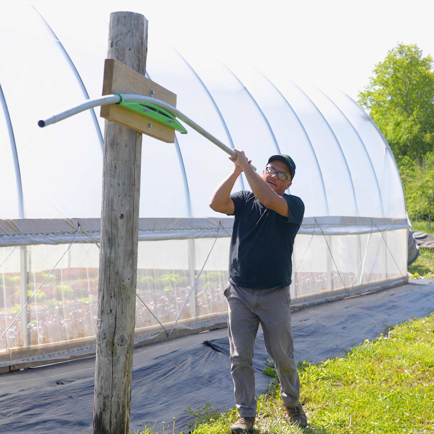 DIY Gothic Greenhouse Kit