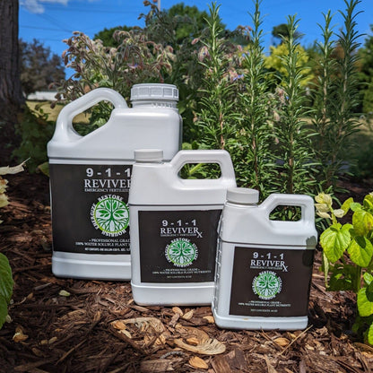 Revive Rx Card Revive Rx – Set Apart Farm & Gardens