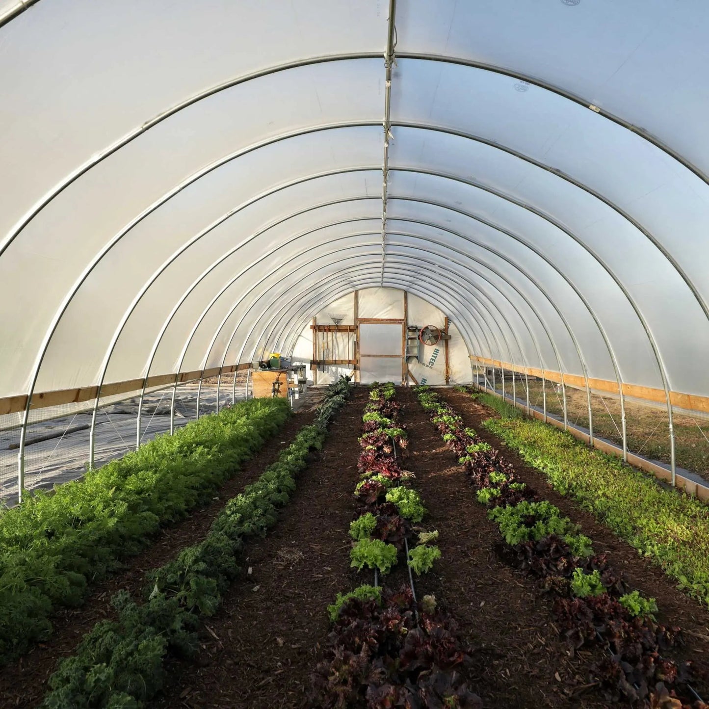 DIY Greenhouse Kit - 10 ft Wide Hoop House