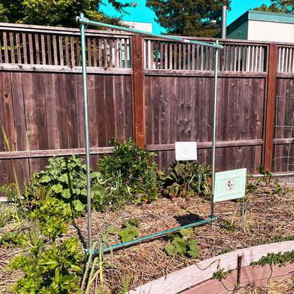 DIY Vine Trellis
