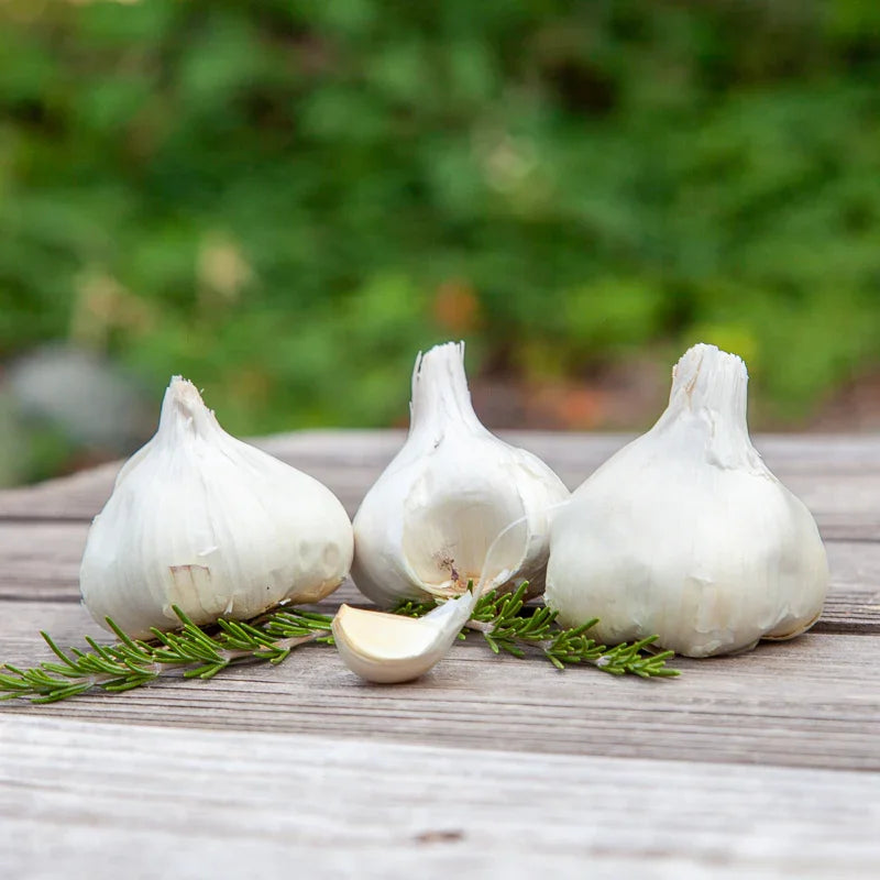 Organic Inchelium Red Garlic (lb)