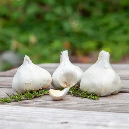 Organic Inchelium Red Garlic (lb)