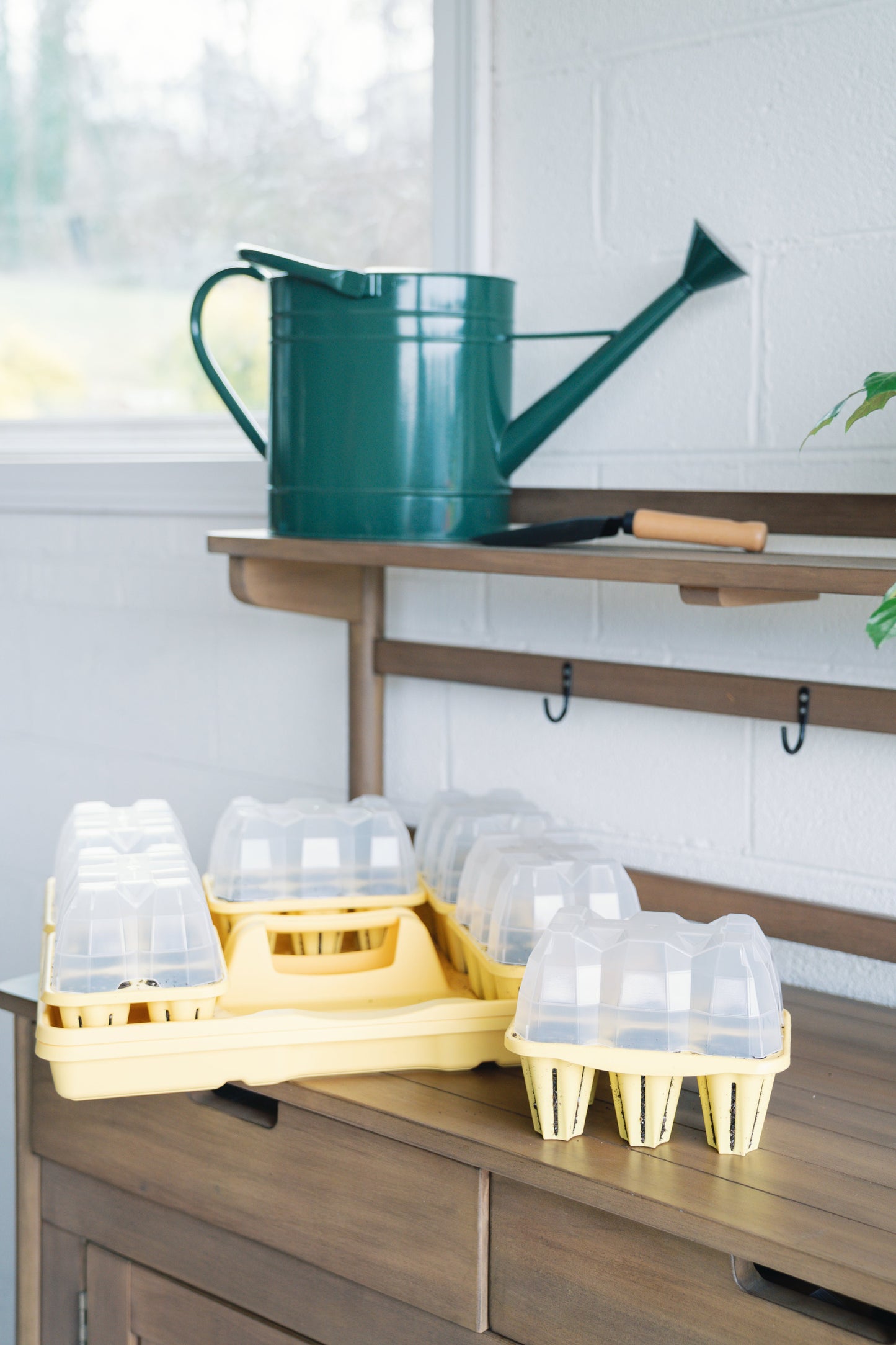 GreenStalk Garden Seed Starter Kit with Domes