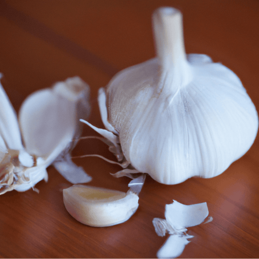 Music Garlic (Lb)