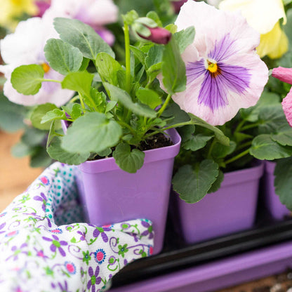Seed Starter Pots - 2.5" Extra Strength