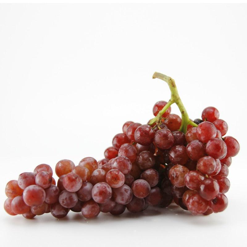 Reliance Seedless Table Grape Vine