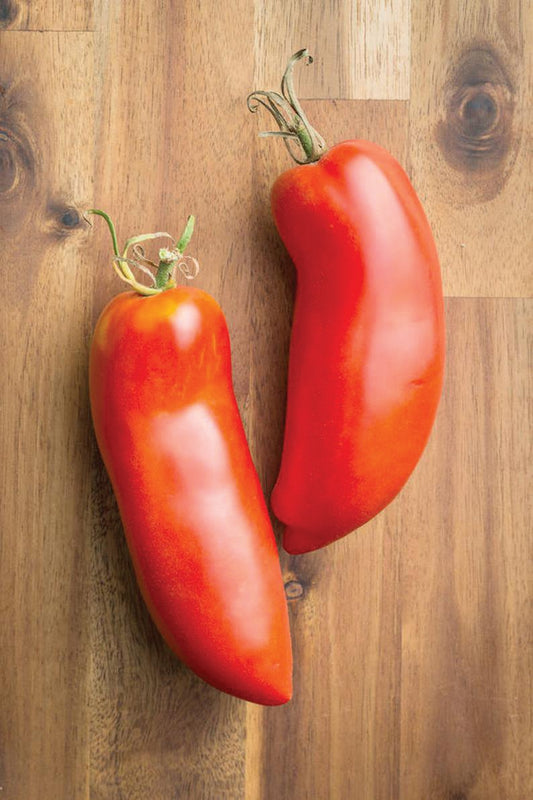 Federle Tomato