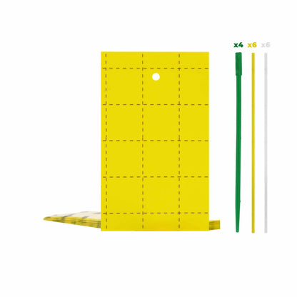 Pest Control Sticky Trap Cards