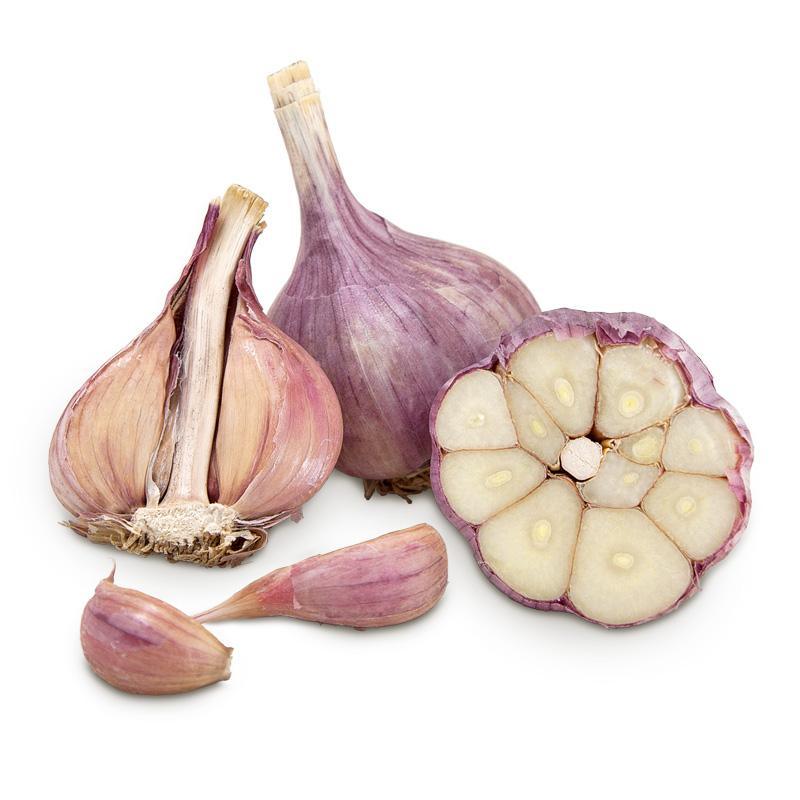 Purple Glazer Garlic (lb)