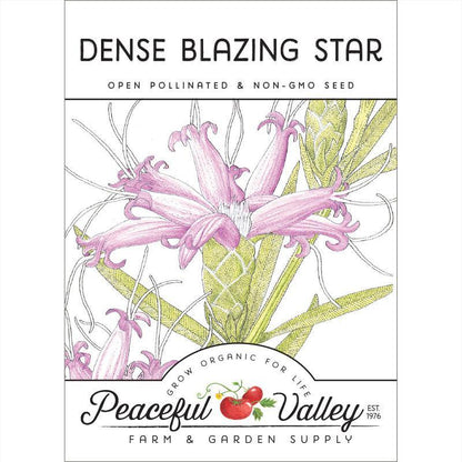 Dense Blazing Star (pack)