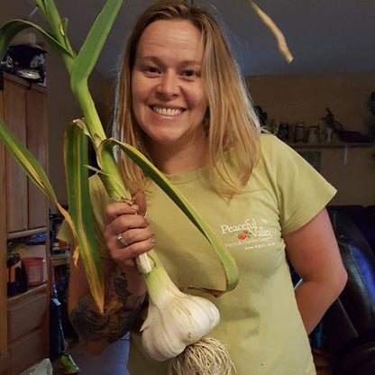 Elephant Garlic (Lb)
