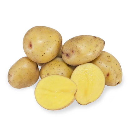 Organic Yukon Nugget Seed Potato (lb)