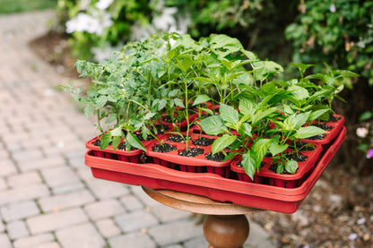 GreenStalk Garden Seed Starter Kit with Domes