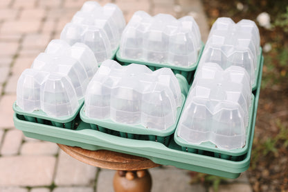 GreenStalk Garden Seed Starter Kit with Domes
