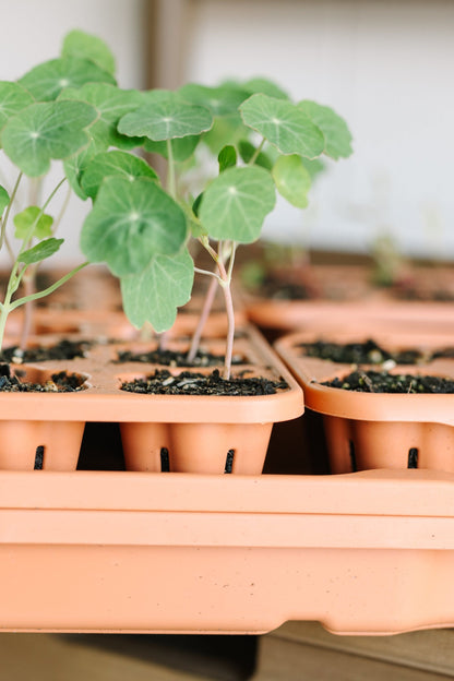 GreenStalk Garden Seed Starter Kit with Domes