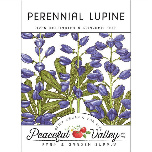 Lupine, Perennial (pack)