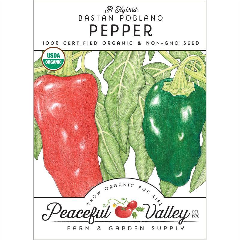 Ancho Poblano Pepper Seeds (Organic)