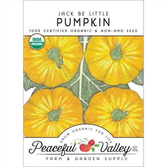 Jack Be Little Pumpkin Seeds (Organic)