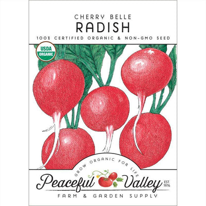 Cherry Belle Radish Seeds (Organic)