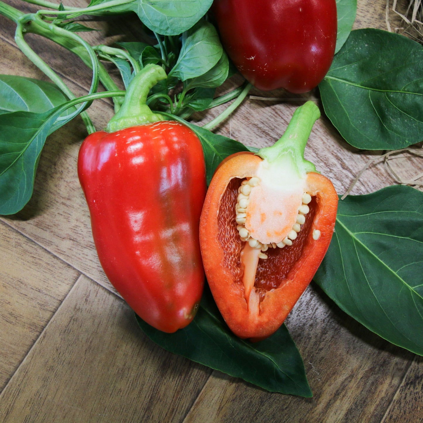 Pimento Pepper