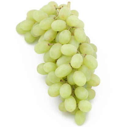 Thompson Seedless Table Grape Vine