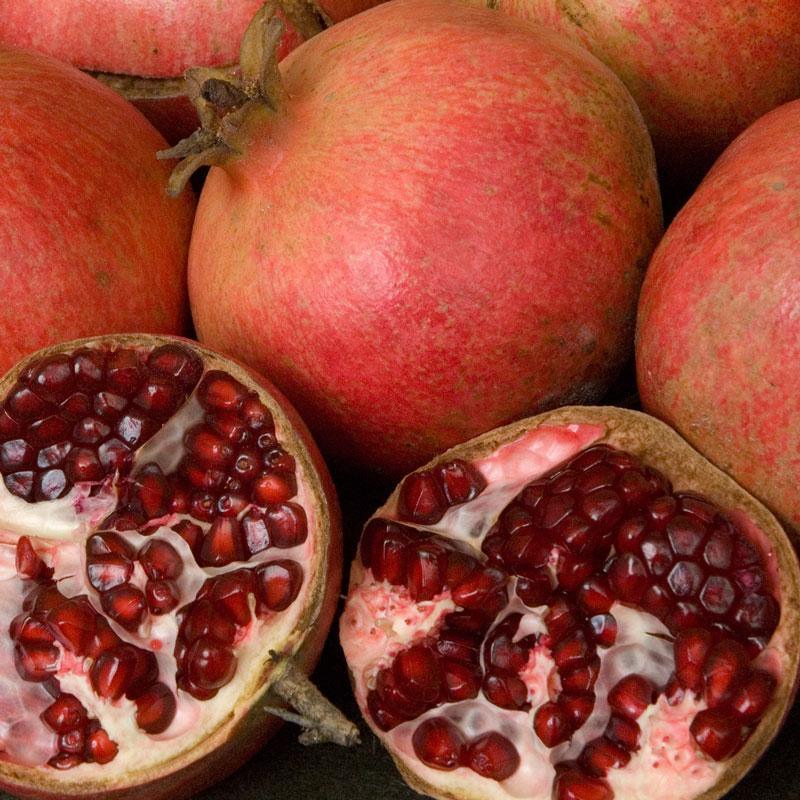 Potted Pomegranate Tree - Wonderful