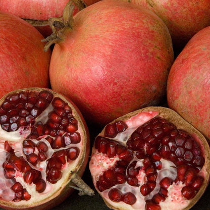 Potted Pomegranate Tree - Wonderful